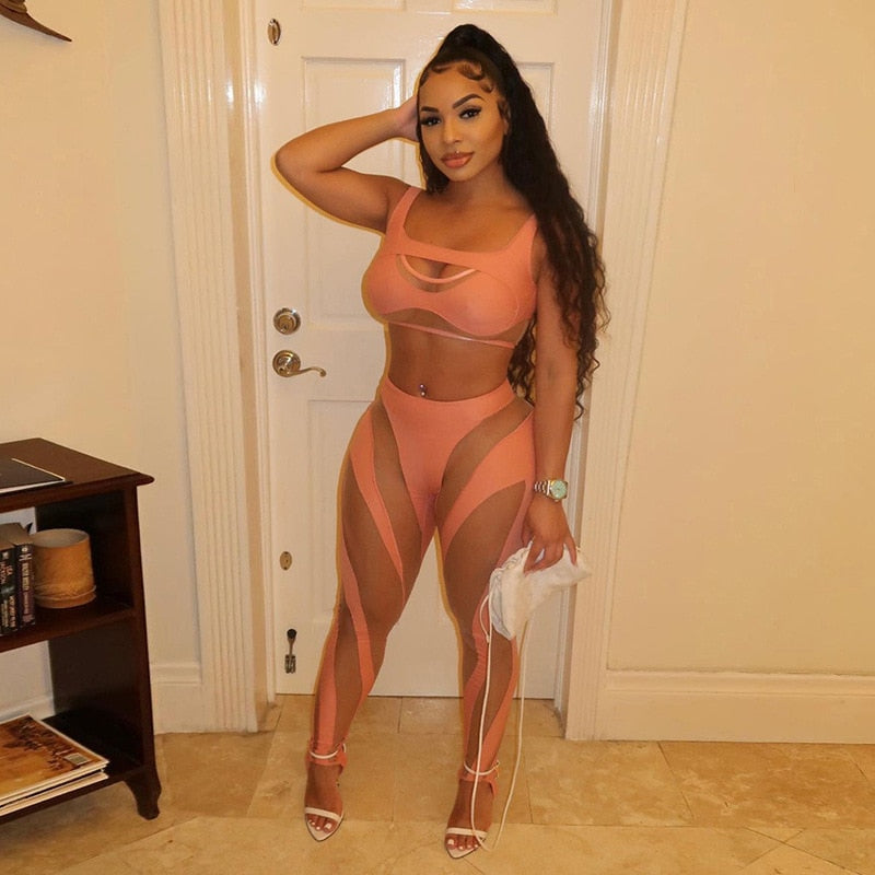 Sheer Mesh Cut Out 2 Piece Set