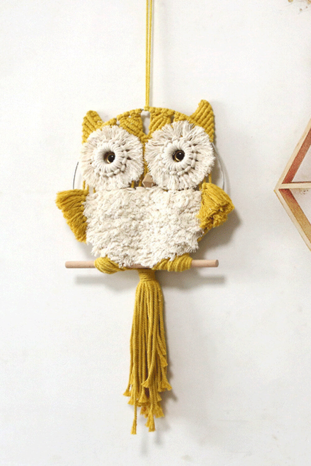 Hand-Woven Tassel Owl Macrame Wall Hanging