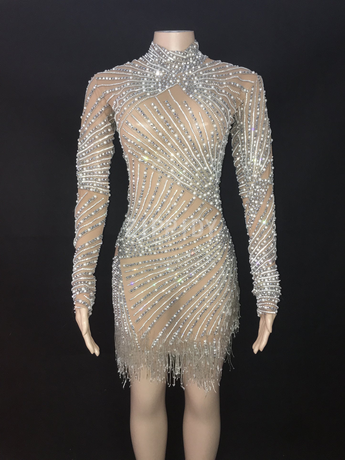 Silver Rhinestones Pearls Fringe Transparent Dress