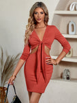 Cutout Twisted Front Plunge Neck Mini Dress